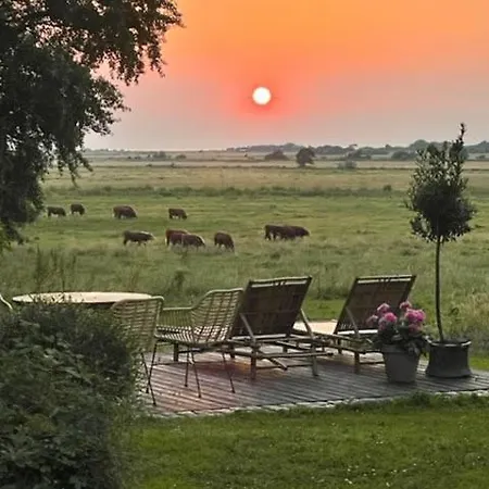 All-year Oasis With Sea Field And Nature Views 펜션 Ebberup