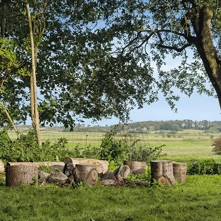 All-year Oasis With Sea Field And Nature Views 펜션 Ebberup